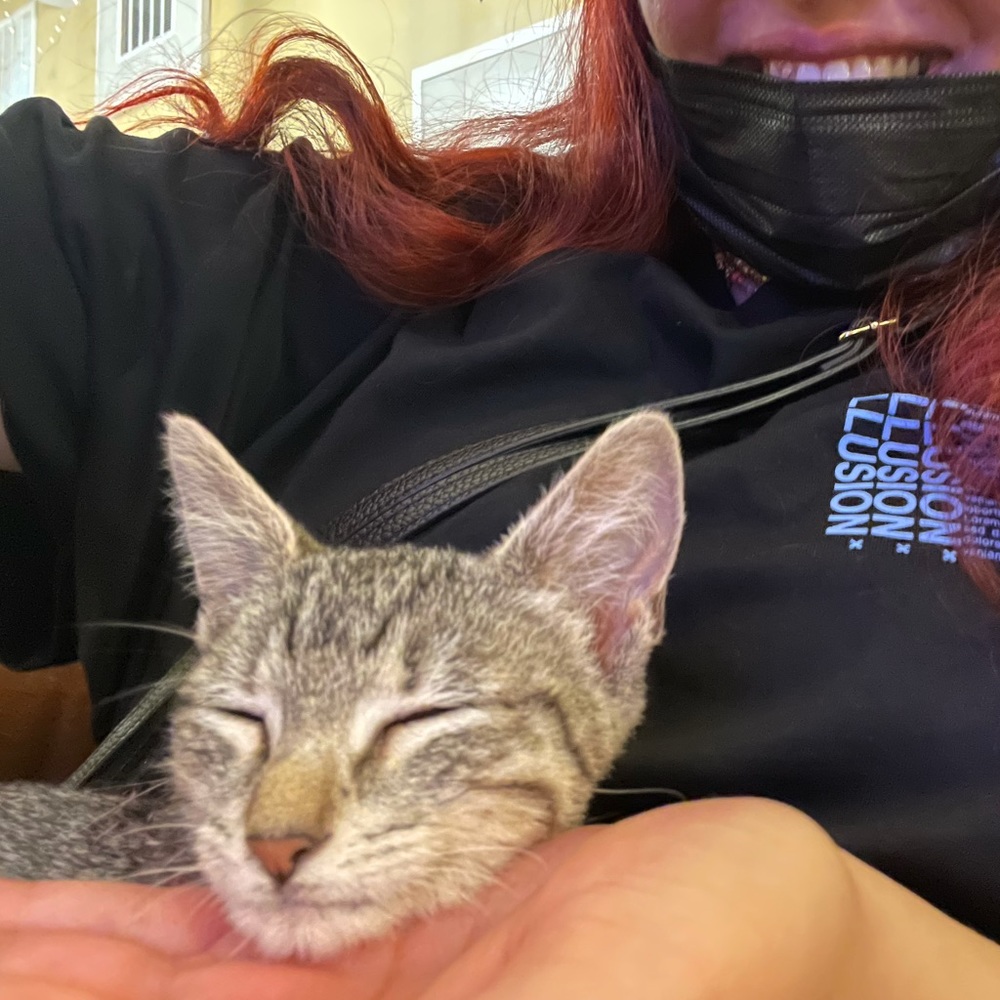 Meet your Posher, Tamanna